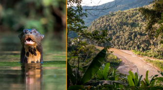 Corredor gasífero abarcaría áreas protegidas como Parque Nacional del Manu