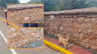 Riesgo de colapso podría afectar a estudiantes y vecinos del sector