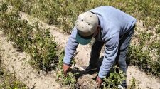Agricultores cuestionan