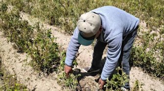 Agricultores cuestionan