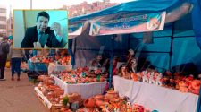 Feria Alasitas 2026