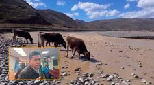 declarar en emergencia la cuenca del río Ramis