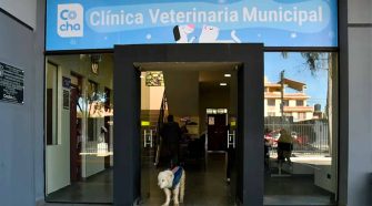 clínica pública veterinaria