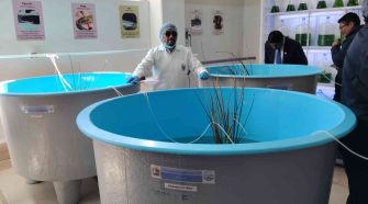 laboratorio para recuperar especies nativas