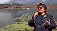 limpieza en la bahía del lago Titicaca