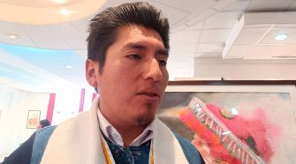 presidente de la Comisión de Actividades Carnavales 2026