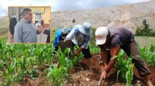 priorizar empleo y atención al sector rural