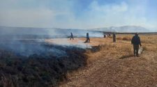 Incendio forestal deja sin forraje