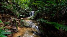 Alerta por flexibilización ambiental en áreas protegidas