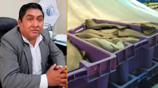 Oleajes golpean la producción de trucha