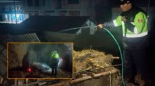 Quema de basura termina en incendio