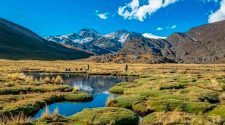 Escasez de agua, sobrepastoreo e incendios amenazan los bofedales de Puno