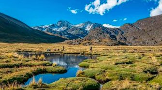 Escasez de agua, sobrepastoreo e incendios amenazan los bofedales de Puno