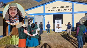 Planta Procesadora de Fibra de Alpaca de Corani