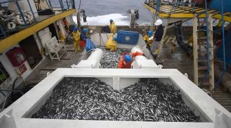 Ministerio de la Producción declaró en emergencia los subsectores Pesca y Acuicultura