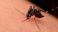 virus del Nilo Occidental