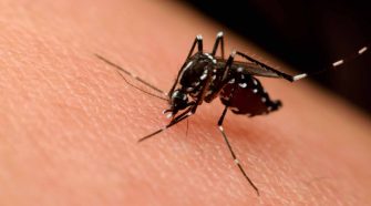 virus del Nilo Occidental