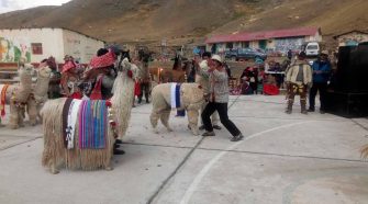 Alpaqueros de Carabaya