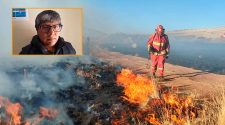 250 incendios forestales