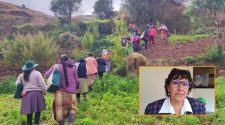 Mujeres rurales de Puno