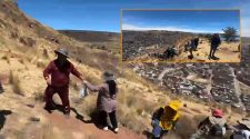 Reforestan el cerro Azoguini