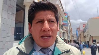 Yonell de la Cruz Cornejo